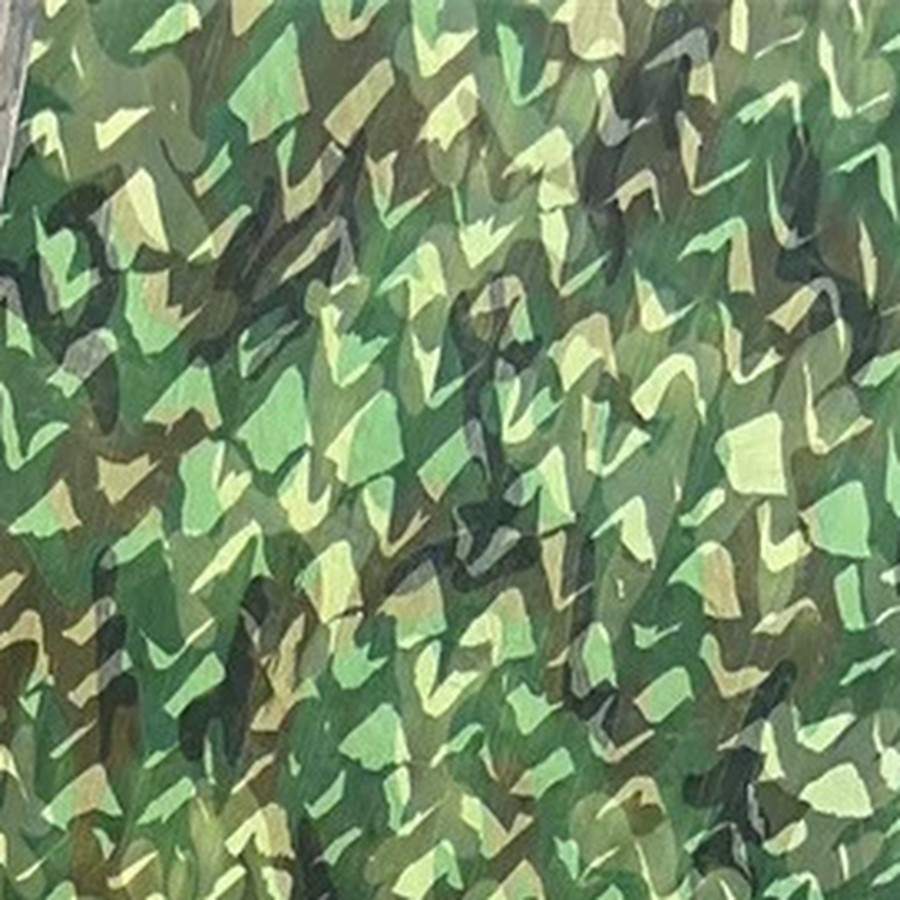 Camo Nets